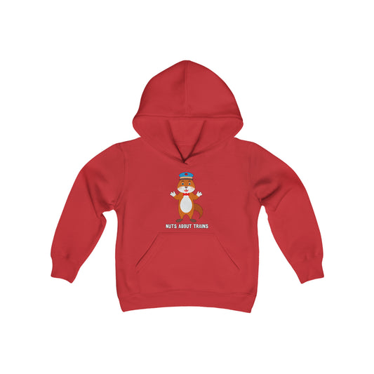 YOUTH Nuts About Trains Hoodie